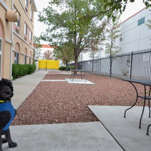 Days Inn &amp; Suites by Wyndham Airport Albuquerque, hotel in Albuquerque