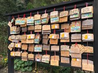 21年 猫神神社 行く前に 見どころをチェック トリップアドバイザー