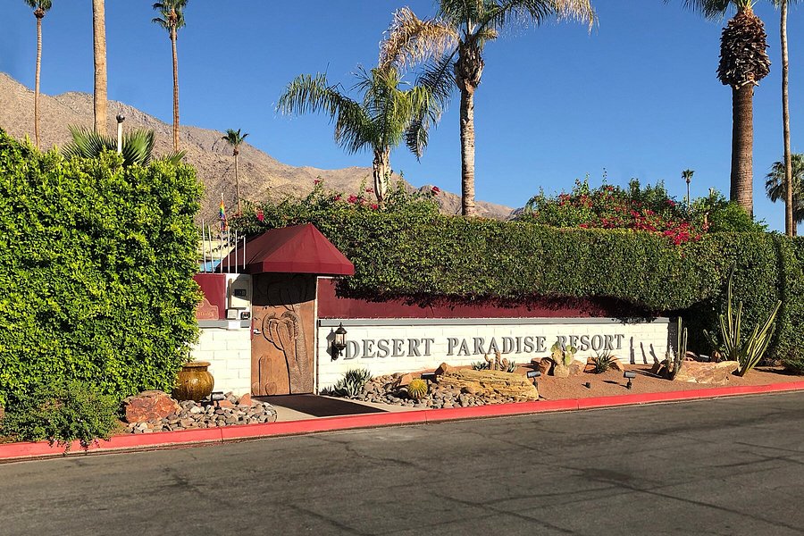 Siniard recommends best of Palm springs lodging gay Pretty girls tgp