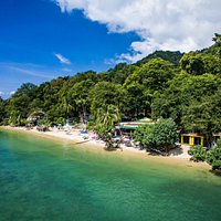 Location where the jungle meets the beach