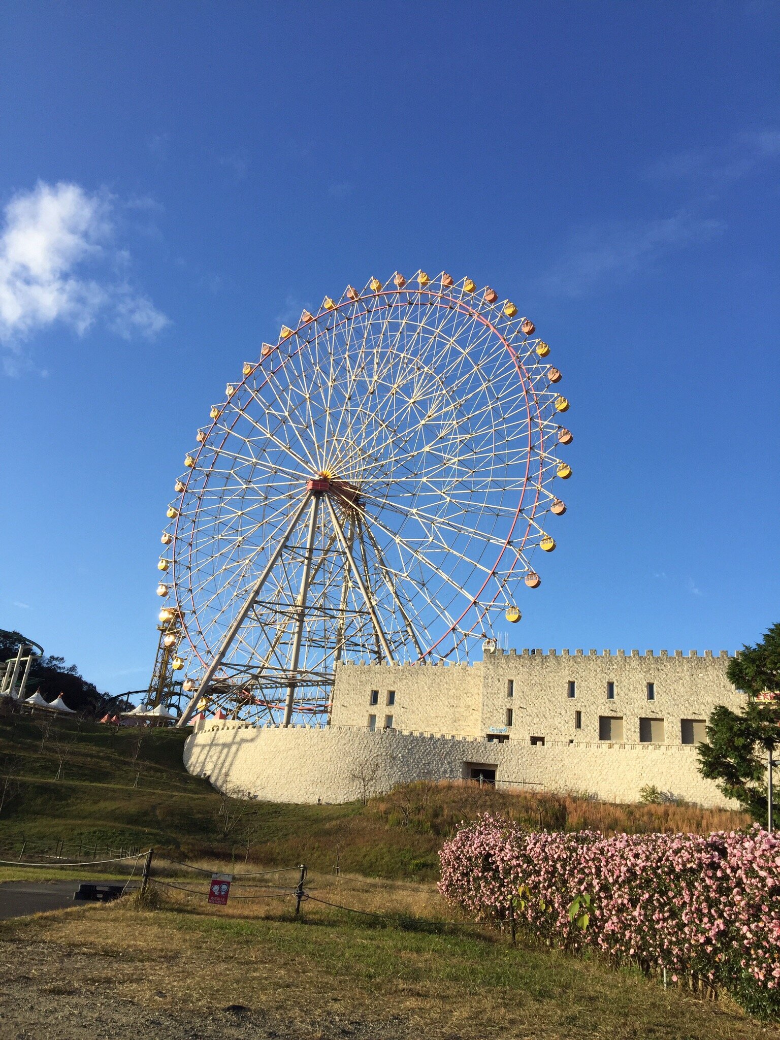 2025年 姫路セントラルパーク - 出発前に知っておくべきこと