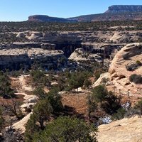 Natural Bridges National Monument (blanding) - All You Need To Know 