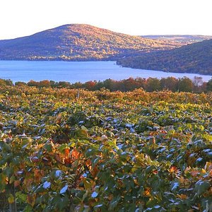 Keuka Lake State Park - All You Need to Know BEFORE You Go (2024)
