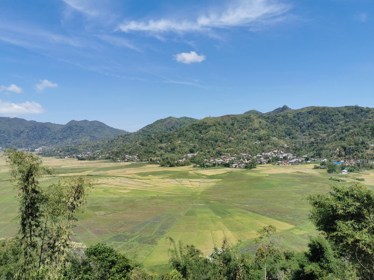 Lingko Spider Web Rice Fields - Walking Tours (Ruteng) - All You Need ...