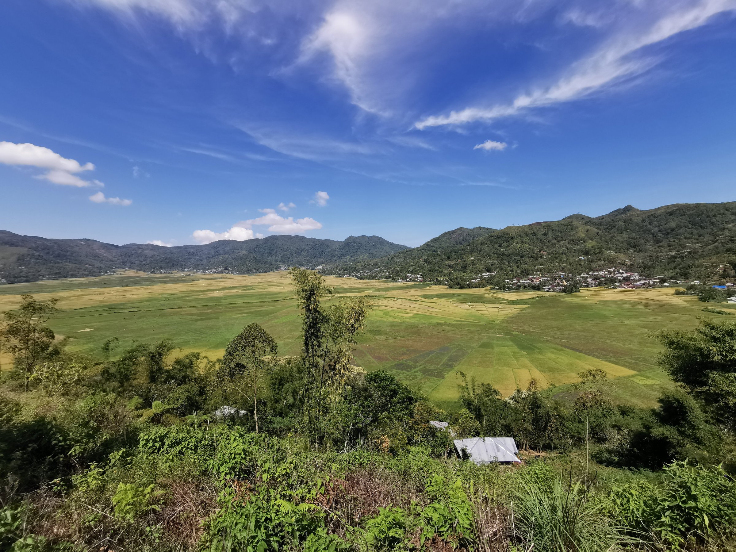 Lingko Spider Web Rice Fields - Walking Tours (Ruteng) - All You Need ...