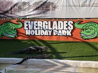 It's an alligator from a birds view - Review of Sawgrass Mills, Sunrise, FL  - Tripadvisor