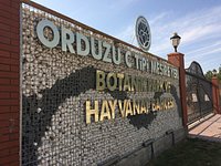 arzu o cagla sik