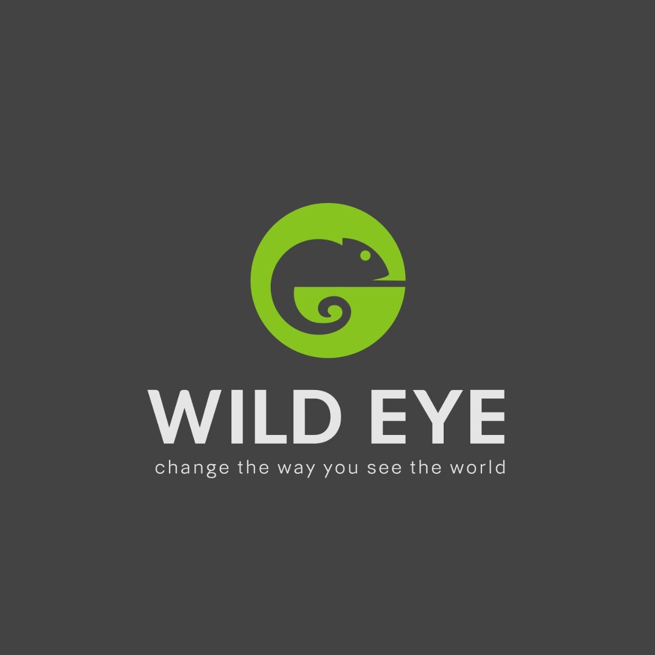 Wild Eye Qu SABER Antes De Ir ACTUALIZADO 2024 Tripadvisor   The New Look Wild Eye 