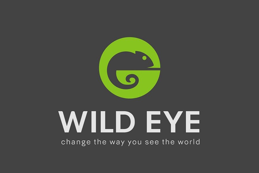 wild eye safari reviews