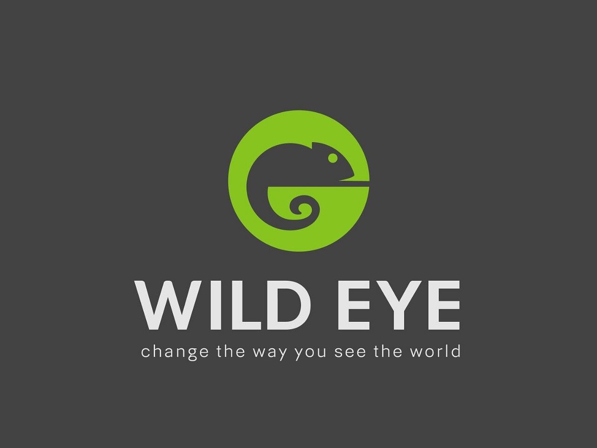 wild eye safari reviews