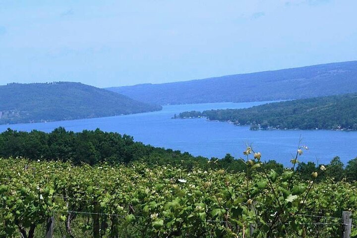 Canandaigua lake wineries best sale