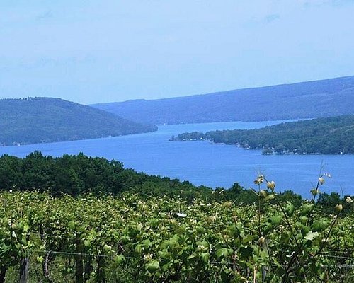 finger lakes wine tours