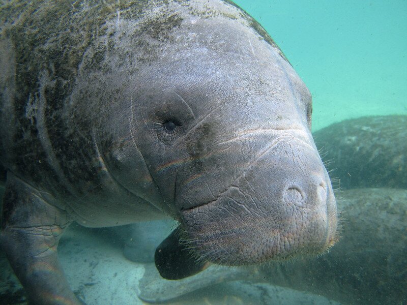 Florida Keys National Marine Sanctuary - All You Need to Know BEFORE ...