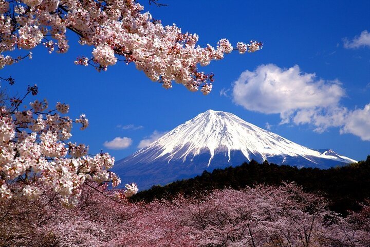 2024 Virtual Tour to Discover Mount Fuji