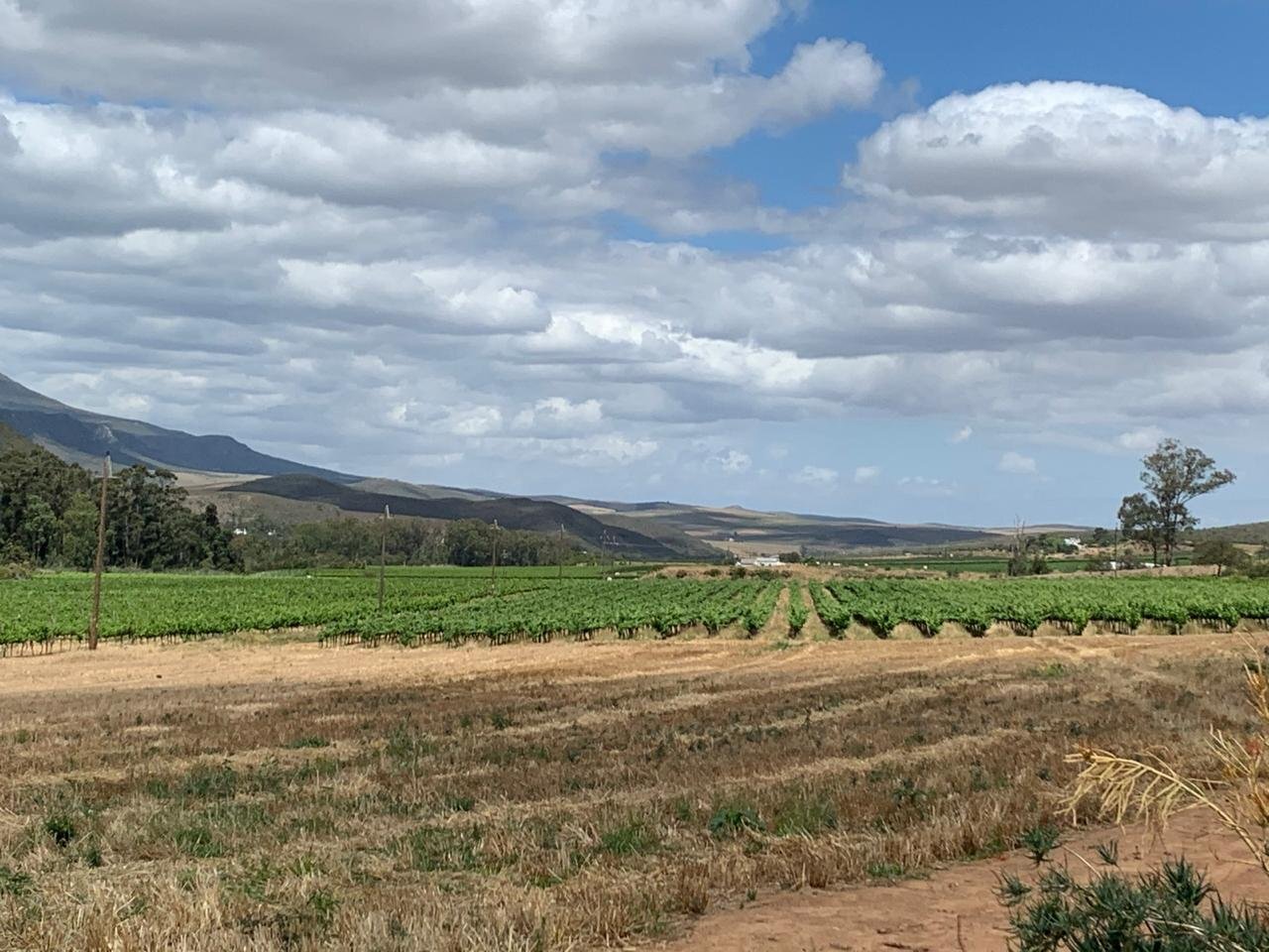 GREENLANDS FARM TABLE: Bewertungen & Fotos (Boesmanspad, Südafrika ...