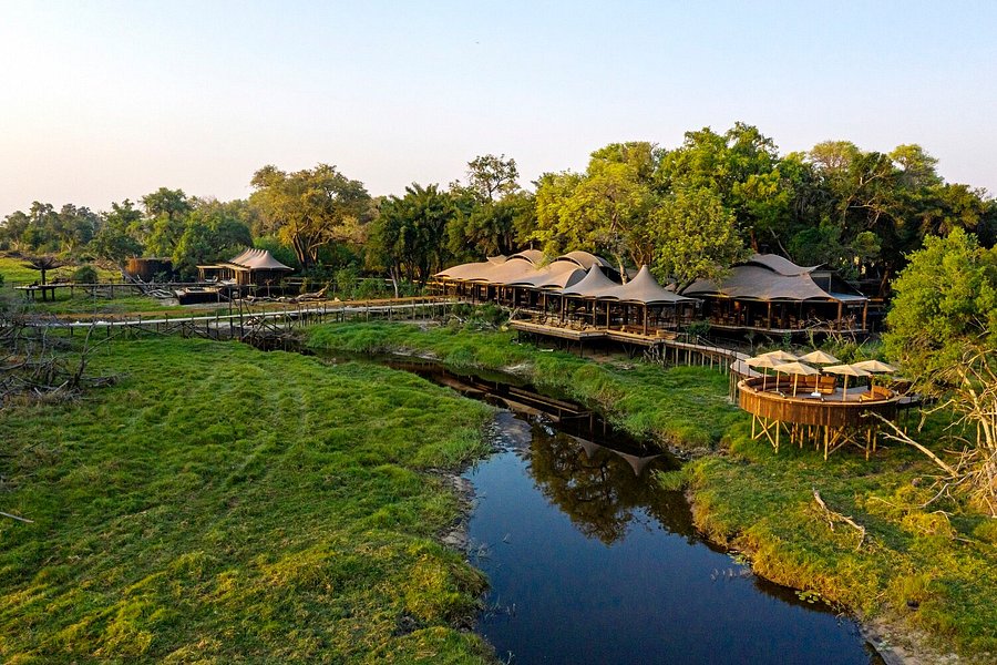 xigera safari lodge reviews