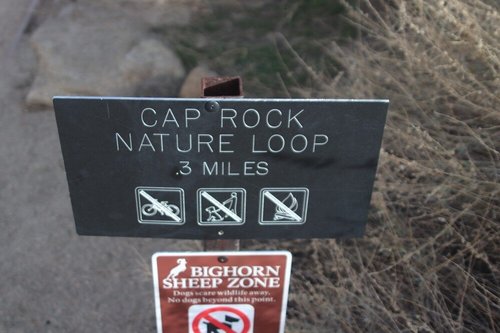 Joshua Tree National Park review images
