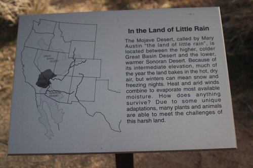 Joshua Tree National Park review images