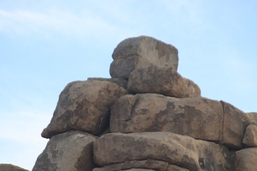 Joshua Tree National Park review images