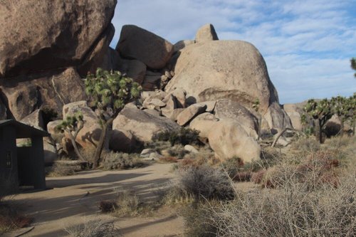 Joshua Tree National Park review images