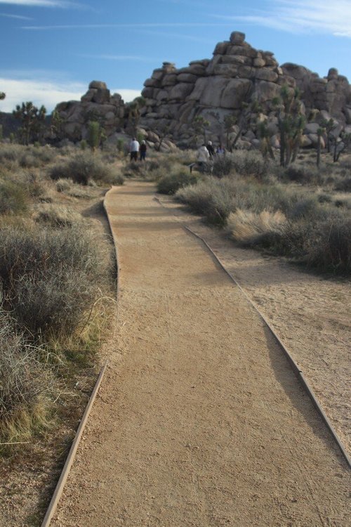 Joshua Tree National Park review images