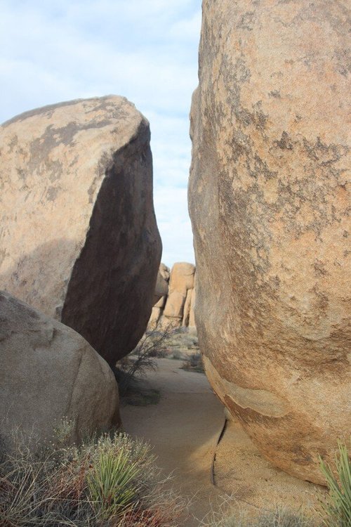 Joshua Tree National Park review images