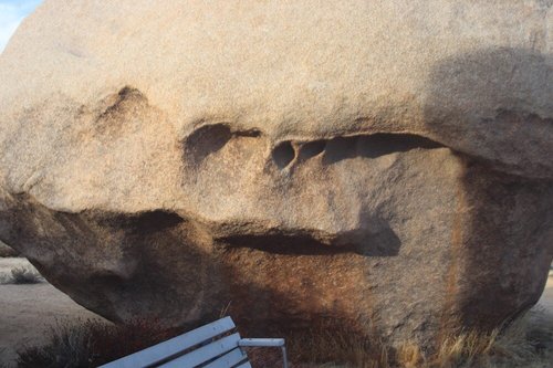 Joshua Tree National Park review images