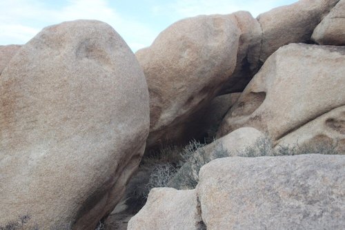 Joshua Tree National Park review images