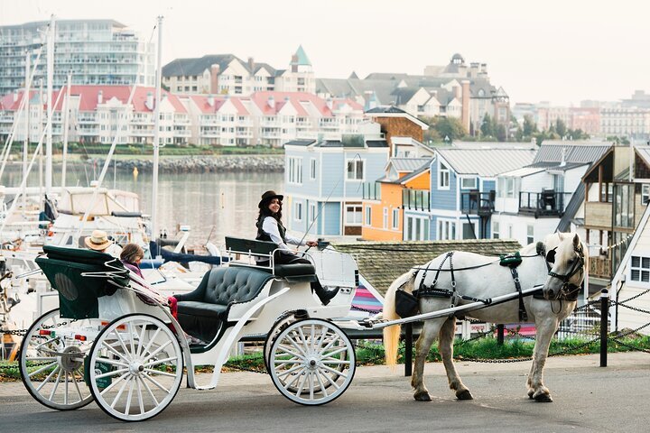 Horse drawn carriage sales tours