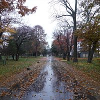 新ひだか町・靜内神社