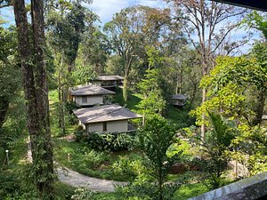 WelcomHeritage Ayatana in Somvarpet, image may contain: Resort, Hotel, Vegetation, Rainforest