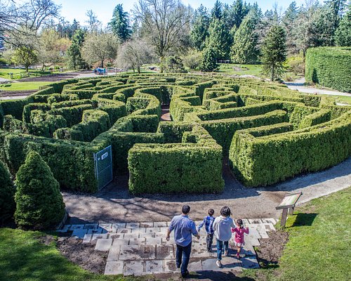 Find your way through the Elizabethan hedge maze made up of over 3,000 pyramidal cedars.