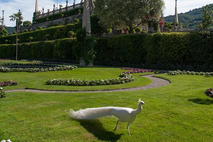 2023 Taxiboat - Private Transfer To Isola Bella From Stresa