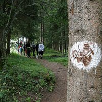 Sentier des Mines du Mont Chemin (Vollèges - Val de Bagnes)