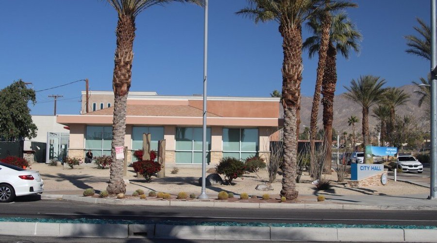 Palm trees
