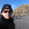 info travel situbondo muriyatnt
