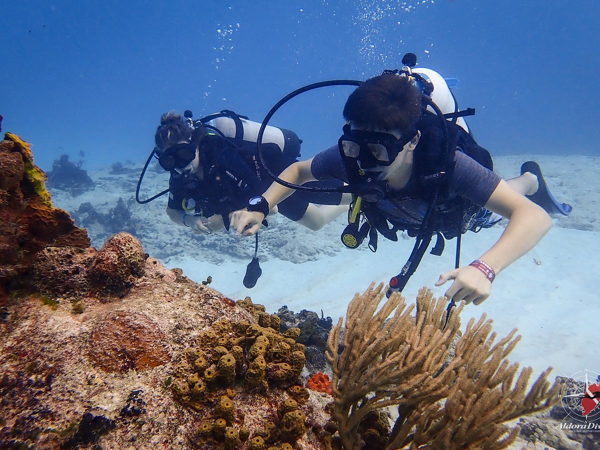 Aldora Divers (Cozumel) - All You Need to Know BEFORE You Go