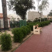 حديقة ميسلون