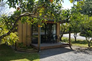 Room & Suite