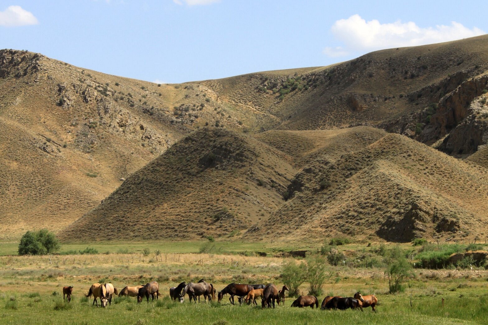 owadan tourism