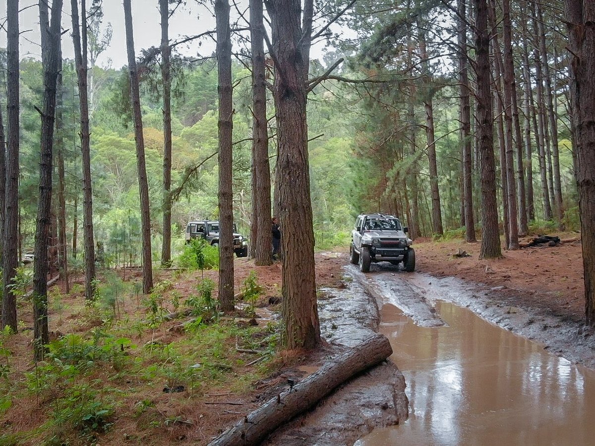 Tripadvisor, #vocêpilota - Trilha do Caracol fornecido pela RUMO 4X4 -  Turismo de Aventura