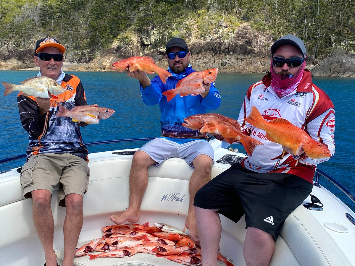 Whitsundays Fishing: Fishing gear Willfish uses and why  Willfish -  Whitsunday Islands Fishing Charters and Tours