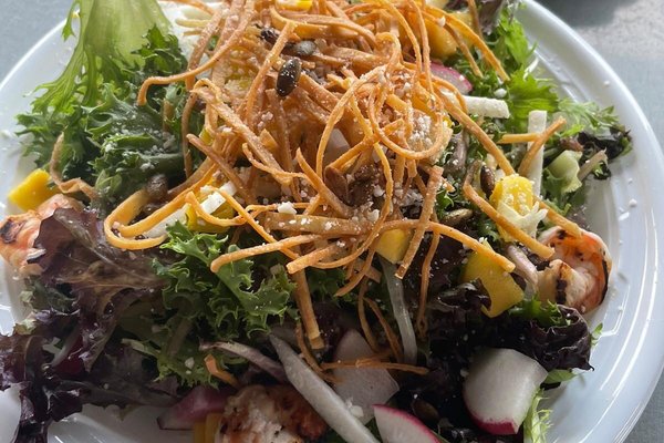 The 10 Best Vegan Restaurants in Fort Lauderdale (2024)