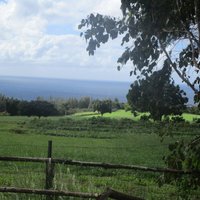 Happy Trails Hawaii (Haleiwa) - All You Need to Know BEFORE You Go