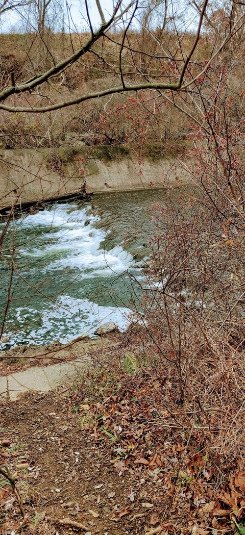 Pennsylvania review images