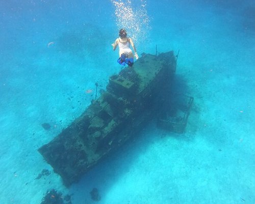 THE 10 BEST Cozumel Scuba Diving & Snorkeling (Updated 2023)