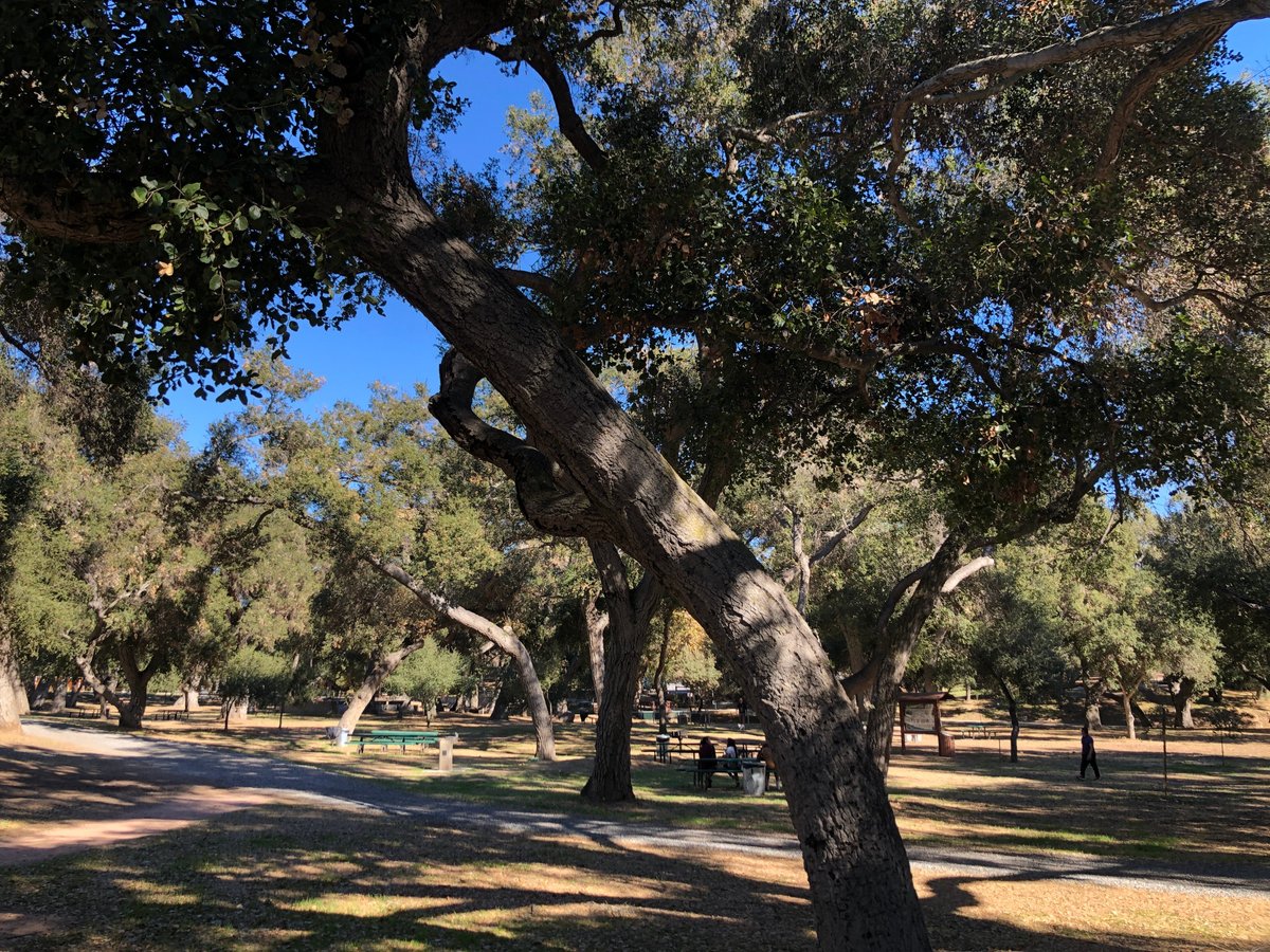 Live Oak Park