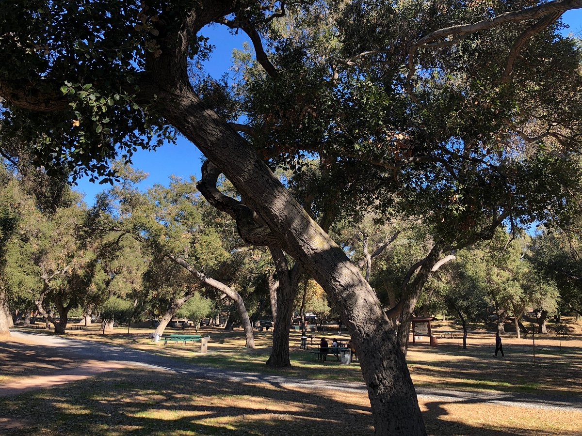 Live Oak Park