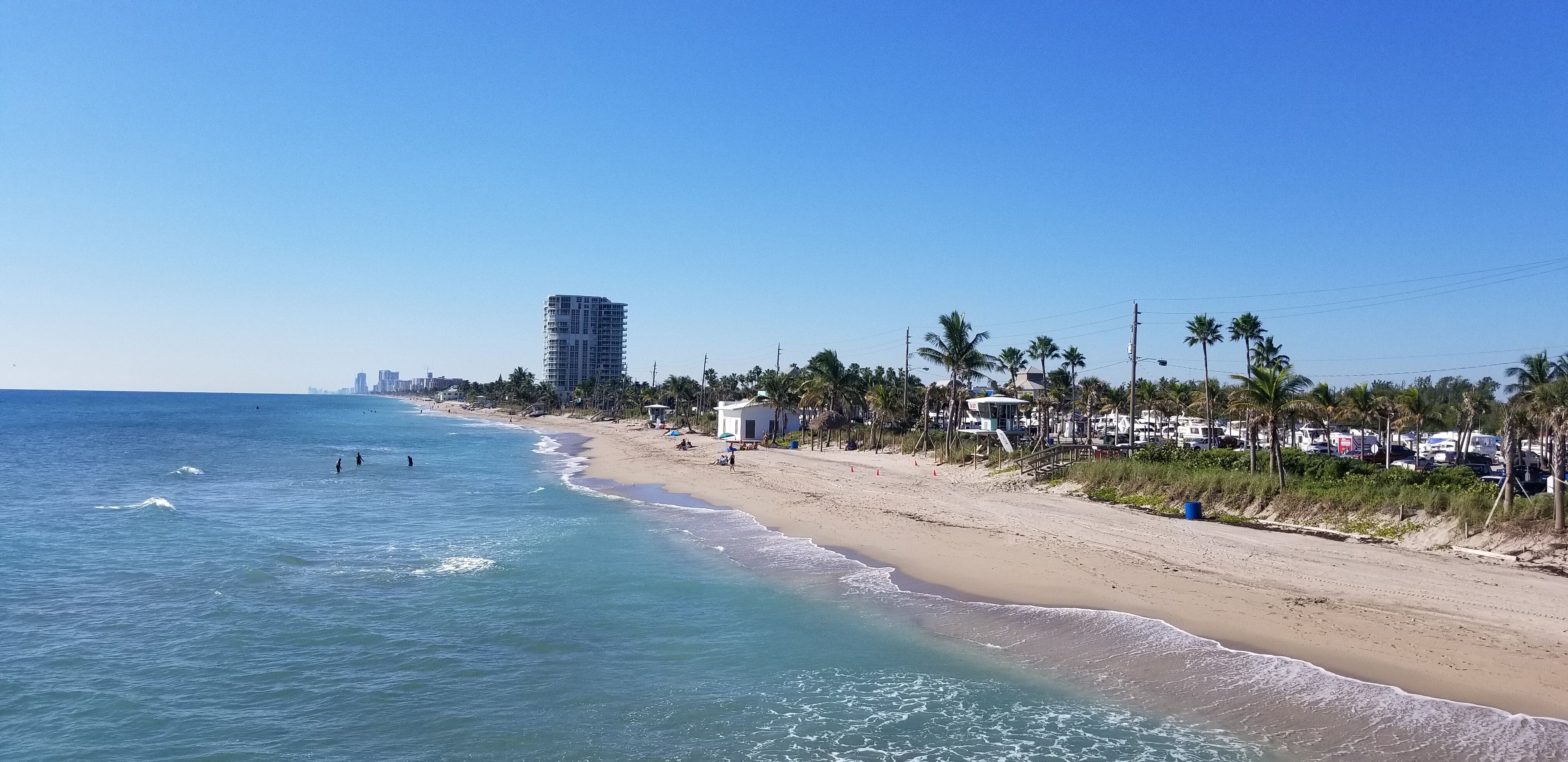 The Taste of Dania Beach: A Culinary Journey Through Florida's Gem