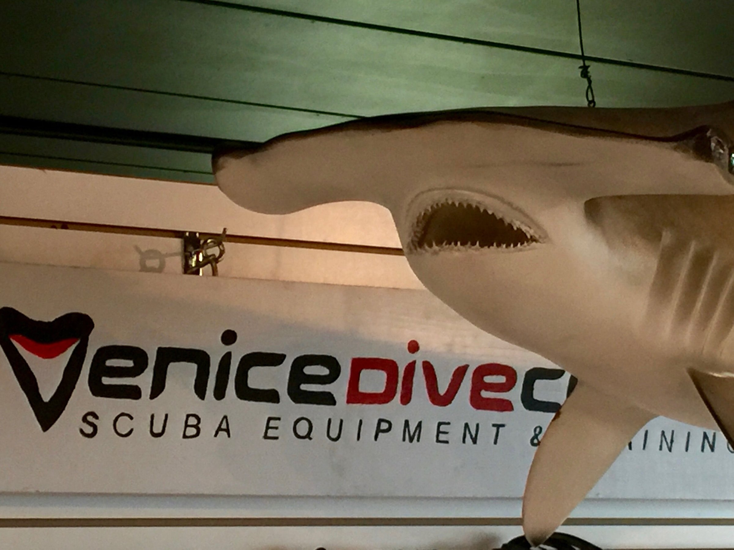 Venice Dive Center (Nokomis) - All You Need to Know BEFORE You Go